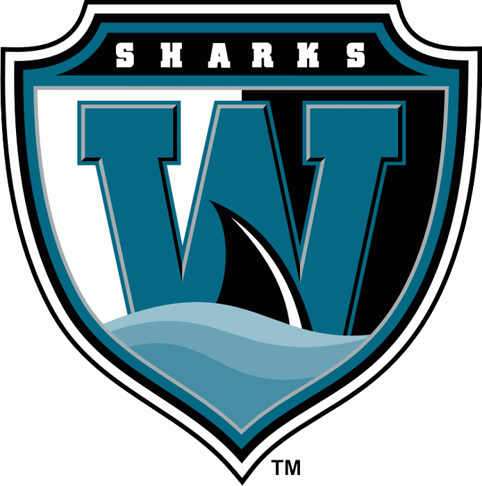 Worcester Sharks 2006 07-Pres Alternate Logo v2 iron on heat transfer